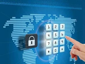 成都高新首創(chuàng)“自貿(mào)通” 融資、降費(fèi)與網(wǎng)絡(luò)技術(shù)服務(wù)一體化解決方案